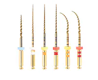 Ecoflex Pro Assorted Files | 21mm - Master