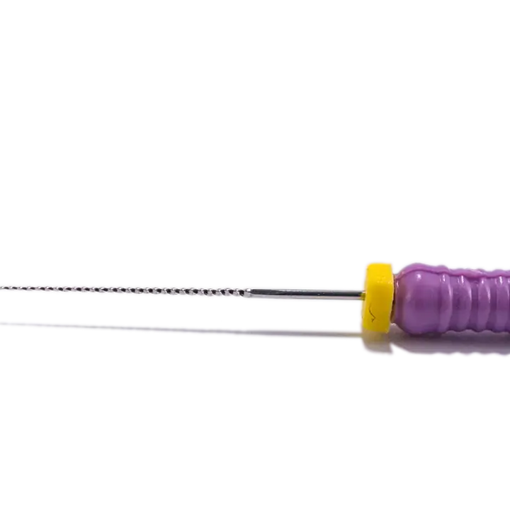 K-File #10  Length 25mm Stainless steel : GoEndo Brand - Master