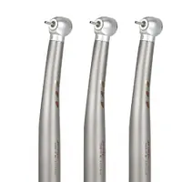 Ecodent Shadowless LED Handpiece - Master