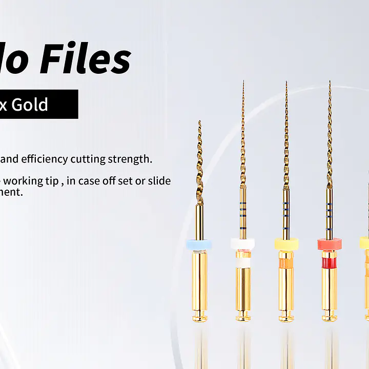 Ecoflex Pro Assorted Files | 21mm - Master
