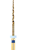 Ecoflex Gold Files | #30 | Blue | 6% | 25mm - Master