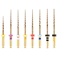 Ecoflex Gold Assorted Files | 21mm - Master