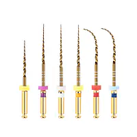 Ecoflex Gold Assorted Files | 21mm - Master