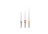 Ecoflex Retreatment Assorted Files | 22mm - Master