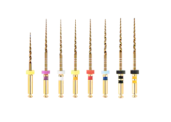 Ecoflex Gold Assorted Files | 25mm - Master