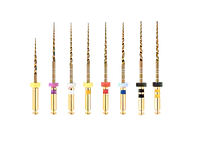 Ecoflex Gold Assorted Files | 25mm - Master