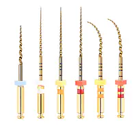 Ecoflex Pro Assorted Files | 21mm - Master