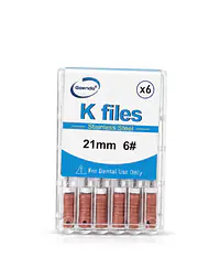 K-File #06 Length 21mm Stainless steel : GoEndo Brand - Master