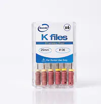 K-File #06 Length 25mm Stainless steel : GoEndo Brand - Master