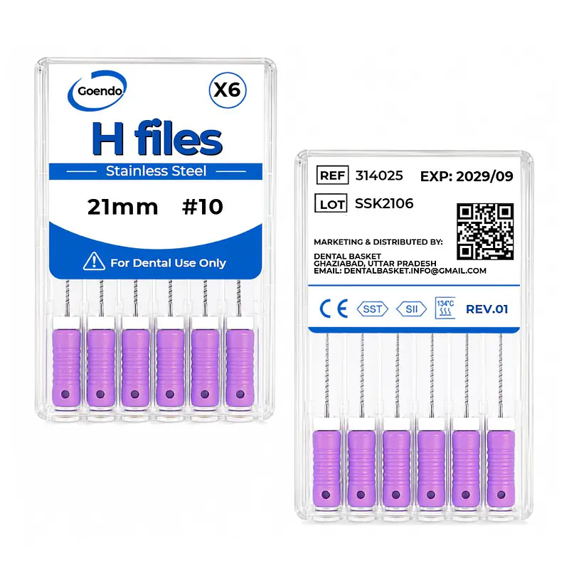 GOENDO SS H-FILE- #10 21mm - Master