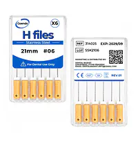 GOENDO SS H-FILE- #06 21mm - Master
