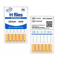 GOENDO SS H-FILE- #06 25mm - Master