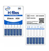 GOENDO SS H-FILE- #30 25mm - Master