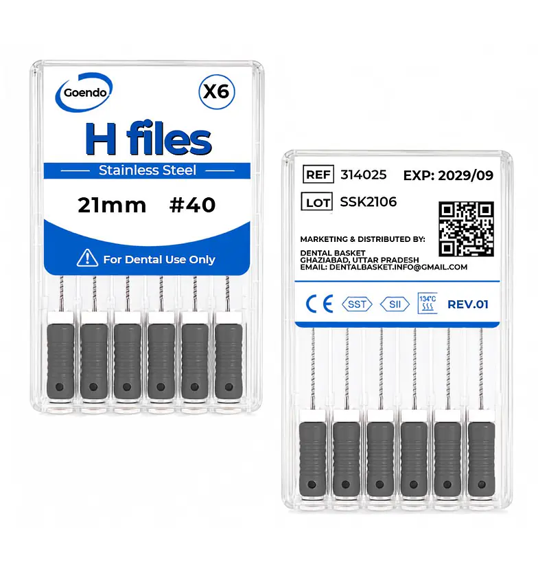 GOENDO SS H-FILE- #40 21mm - Master