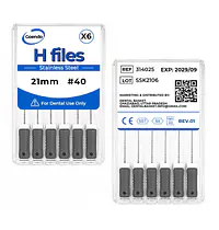 GOENDO SS H-FILE- #40 21mm - Master