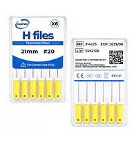 GOENDO SS H-FILE- #20  21mm - Master