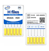 GOENDO SS H-FILE- #20 25mm - Master