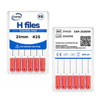 GOENDO SS H-FILE- #25 21mm - Master
