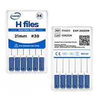 GOENDO SS H-FILE- #30 21mm - Master