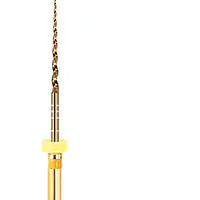 Ecoflex Gold Files | #20 | Yellow | 6% | 21mm - Master