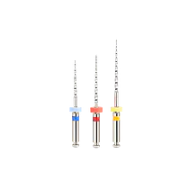 Ecoflex Retreatment Assorted Files | 22mm - Master