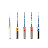 Ecoflex Pedo Assorted Files | 16mm - Master