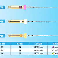 Ecoflex Path Assorted Files | 25mm - Master