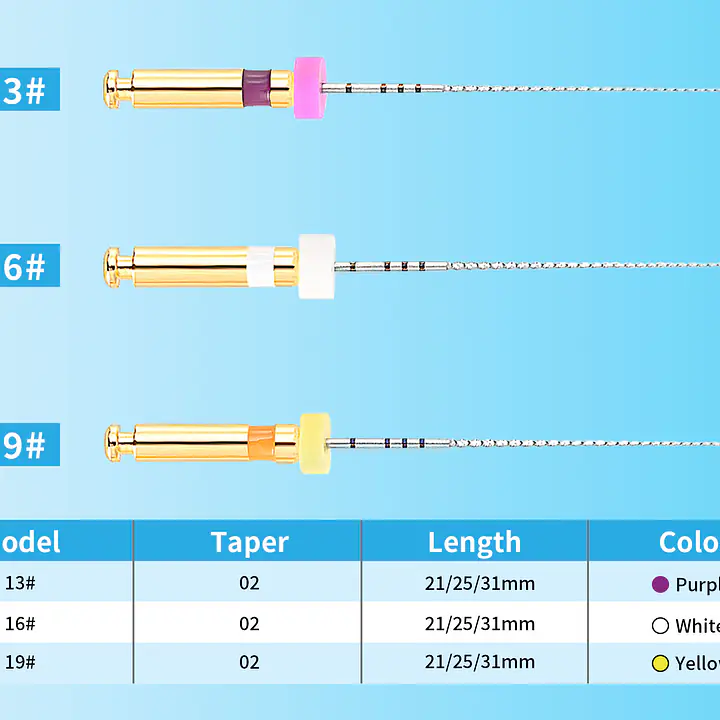 Ecoflex Path Assorted Files | 25mm - Master